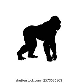  A gorilla vector silhouette.King of the Jungle.