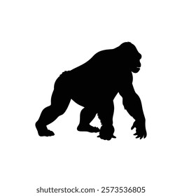  A gorilla vector silhouette.King of the Jungle.