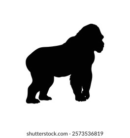  A gorilla vector silhouette.King of the Jungle.