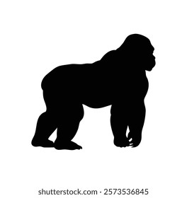  A gorilla vector silhouette.King of the Jungle.