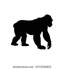  A gorilla vector silhouette.King of the Jungle.