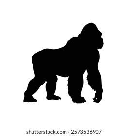  A gorilla vector silhouette.King of the Jungle.