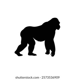  A gorilla vector silhouette.King of the Jungle.