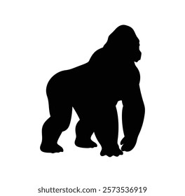  A gorilla vector silhouette.King of the Jungle.