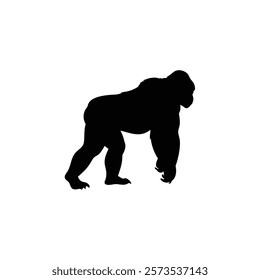  A gorilla vector silhouette.King of the Jungle.