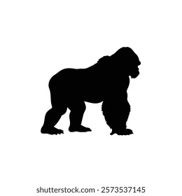  A gorilla vector silhouette.King of the Jungle.