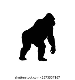  A gorilla vector silhouette.King of the Jungle.