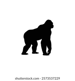  A gorilla vector silhouette.King of the Jungle.