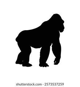  A gorilla vector silhouette.King of the Jungle.