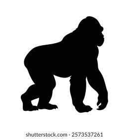  A gorilla vector silhouette.King of the Jungle.