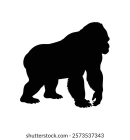  A gorilla vector silhouette.King of the Jungle.