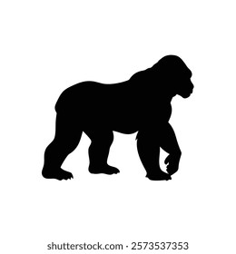  A gorilla vector silhouette.King of the Jungle.