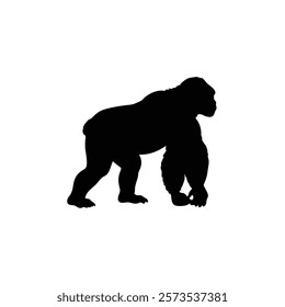  A gorilla vector silhouette.King of the Jungle.