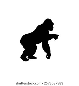  A gorilla vector silhouette.King of the Jungle.