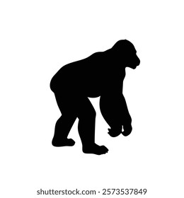  A gorilla vector silhouette.King of the Jungle.