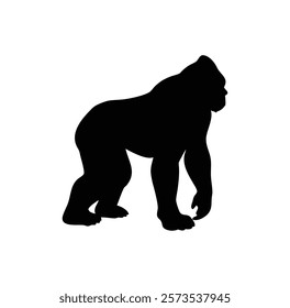  A gorilla vector silhouette.King of the Jungle.