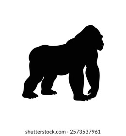  A gorilla vector silhouette.King of the Jungle.