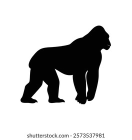  A gorilla vector silhouette.King of the Jungle.