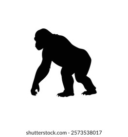  A gorilla vector silhouette.King of the Jungle.