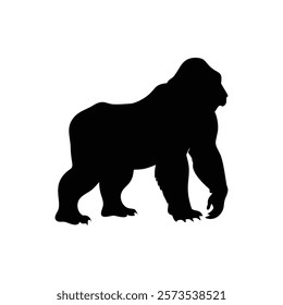  A gorilla vector silhouette.King of the Jungle.