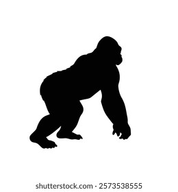  A gorilla vector silhouette.King of the Jungle.