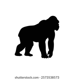  A gorilla vector silhouette.King of the Jungle.