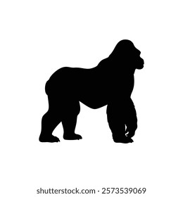  A gorilla vector silhouette.King of the Jungle.