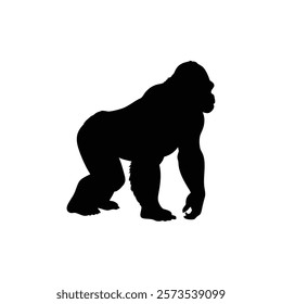  A gorilla vector silhouette.King of the Jungle.