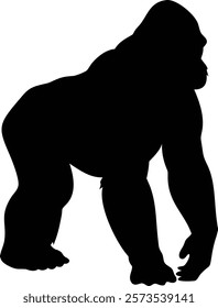  A gorilla vector silhouette.King of the Jungle.