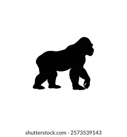  A gorilla vector silhouette.King of the Jungle.