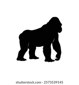  A gorilla vector silhouette.King of the Jungle.