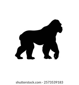  A gorilla vector silhouette.King of the Jungle.