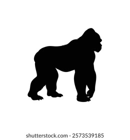  A gorilla vector silhouette.King of the Jungle.