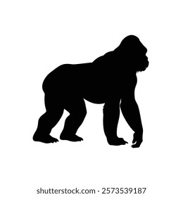  A gorilla vector silhouette.King of the Jungle.