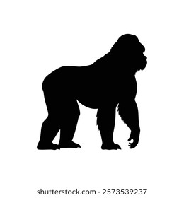  A gorilla vector silhouette.King of the Jungle.