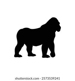  A gorilla vector silhouette.King of the Jungle.