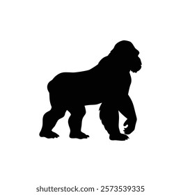  A gorilla vector silhouette.King of the Jungle.