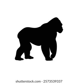  A gorilla vector silhouette.King of the Jungle.