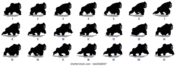 Gorilla walk cycle animation frames silhouette, loop animation sequence sprite sheet 