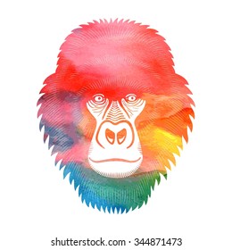 Gorilla. Watercolor vector. Gorilla sign, gorilla logo. Monkey isolated on white background.