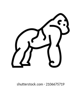 gorilla wild animal line icon vector. gorilla wild animal sign. isolated contour symbol black illustration