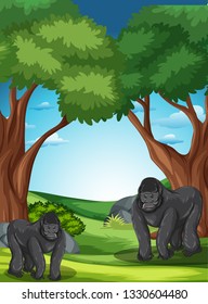 Gorila en la ilustración salvaje