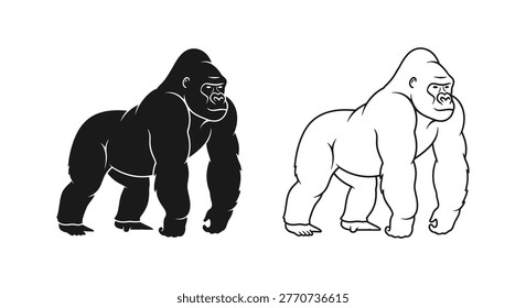 Gorillas Comparison: Mountain vs Lowland Gorilla Key Facts Vector