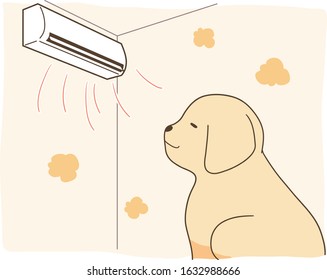 gorlden retriever - with air conditioner (warm)