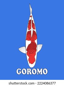 goromo koi white red one of the most popular fish from Japan