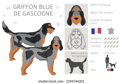 Gos Rater Valencia clipart. Different coat colors set.  Vector illustration