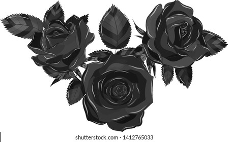 Gothic beautiful, black rose vector