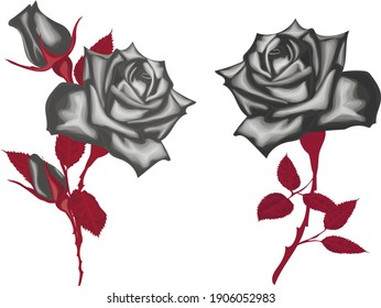 Rosas negras góticas - rosas vectoriales vintage aisladas