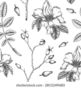 Gothic botany flower background. Hand drawn dog rose seamless pattern. Rosa Canina botanical vector illustration in vintage style. NOT AI generated