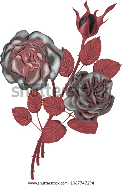 Gothic Bouquet Black Roses Red Leaves Stock Vector Royalty Free